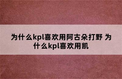 为什么kpl喜欢用阿古朵打野 为什么kpl喜欢用凯